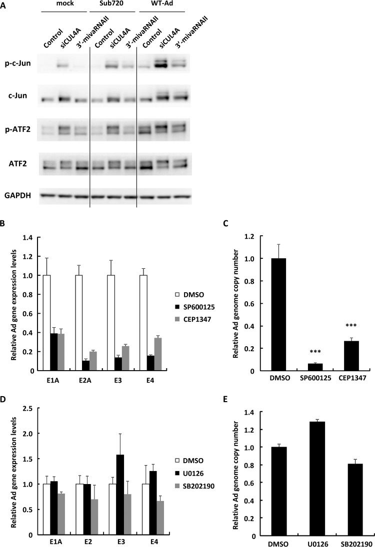 FIG 6