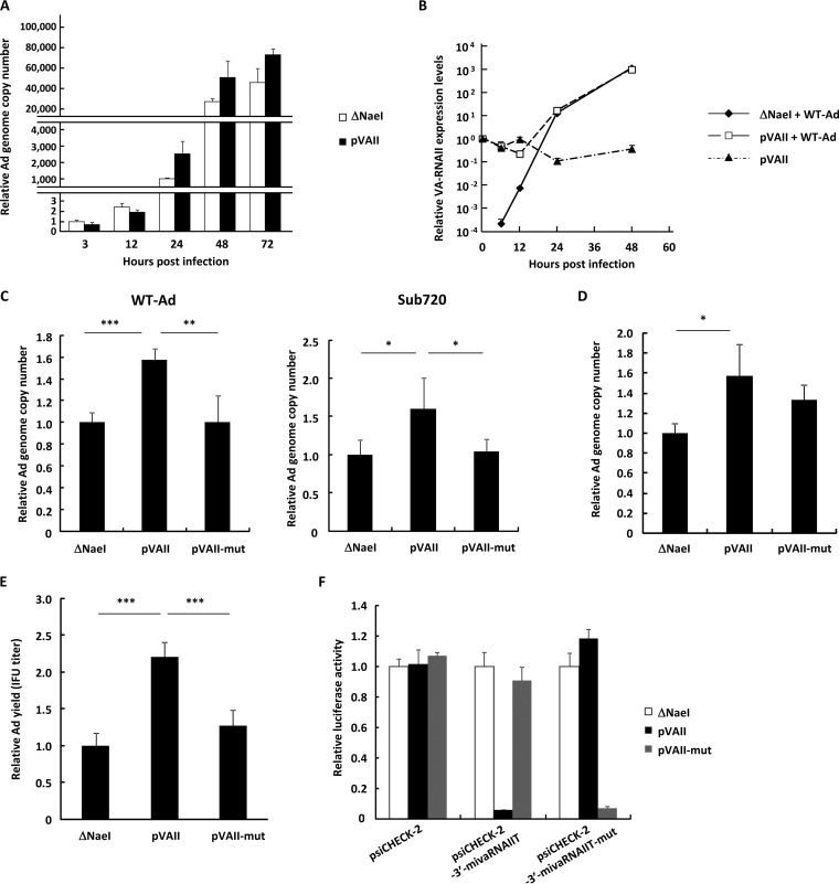 FIG 1