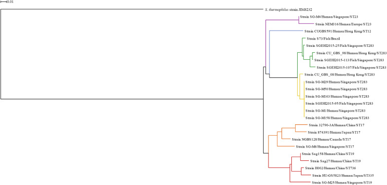 FIGURE 1