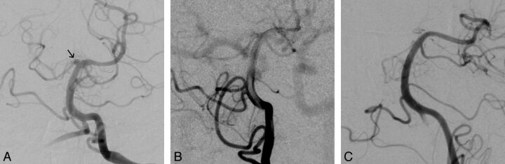 Fig 1.