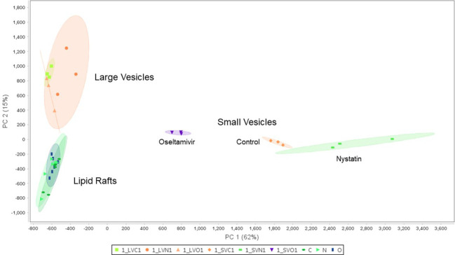 Figure 7