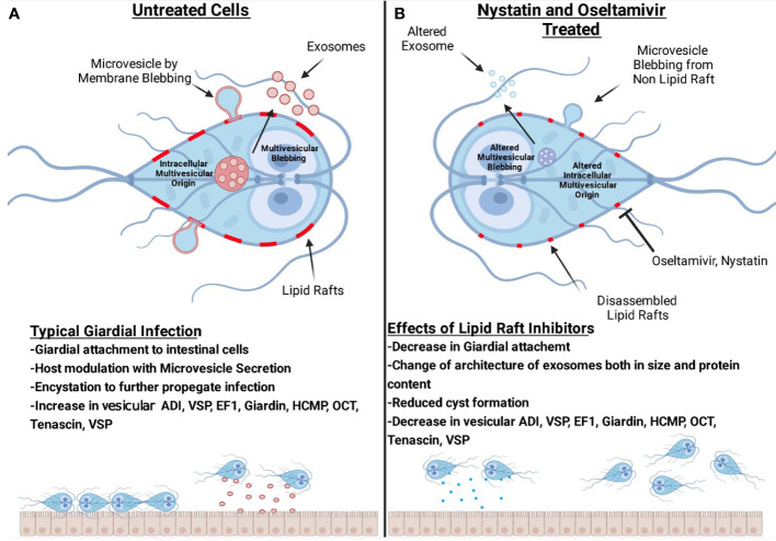 Figure 11