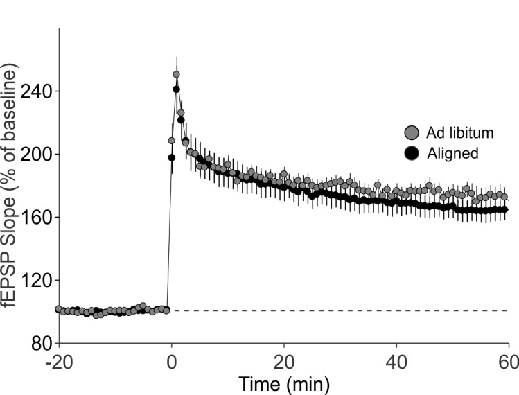 Figure 5—figure supplement 1.