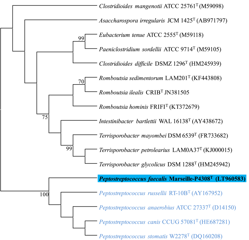 Figure 1