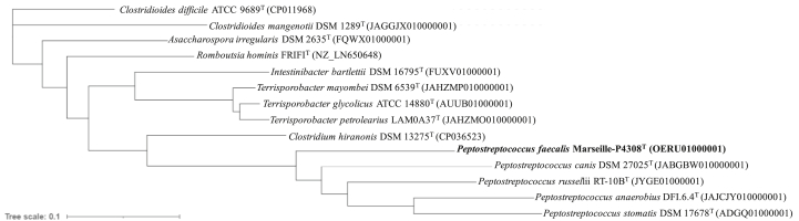 Figure 2