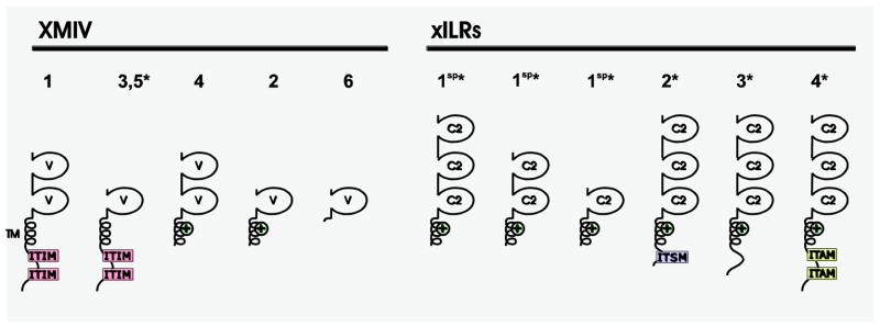 Fig. 5