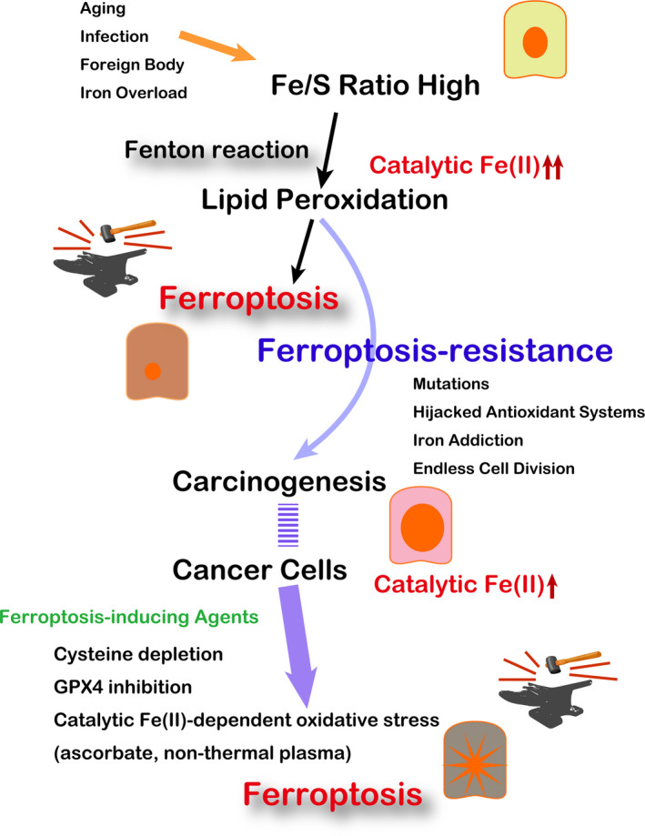 Figure 5