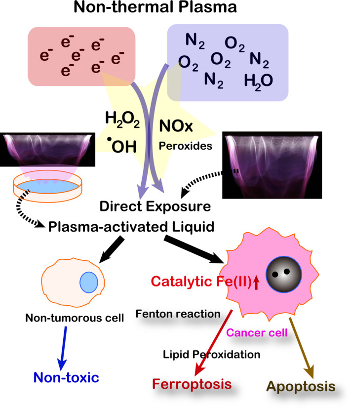 Figure 6