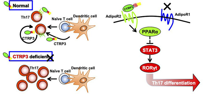 Figure 5