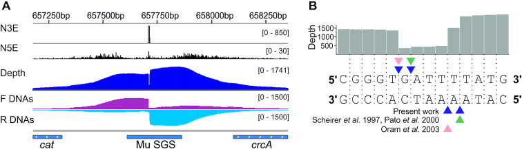 Figure 2.