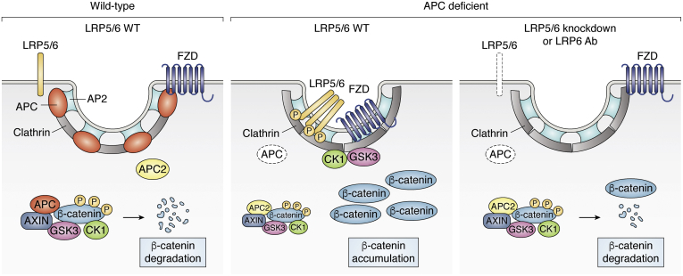 Figure 4