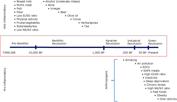 This timeline shows that anti-inflammatory inducers have been associated with human activity since at least the Neolithic revolution. Pro-inflammatory inducers have mostly (except for smoking) only been part of the human environment since the Industrial Revolution. “Anthropogens” are defined here as man-made environments; and the by-products, behaviors, and/or lifestyles encouraged by those environments, some of which have biological effects which may be detrimental to human health. Abbreviations: MUFA, monounsaturated fatty acids; EI, energy intake; EE, energy expenditure; N6, omega-6 fatty acids; N3, omega-3 fatty acids; BP, before present; EDCs, endocrine disrupting chemicals; SAFA, saturated fatty acid.