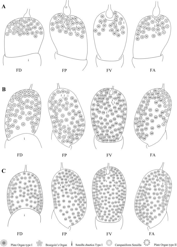 Fig 9