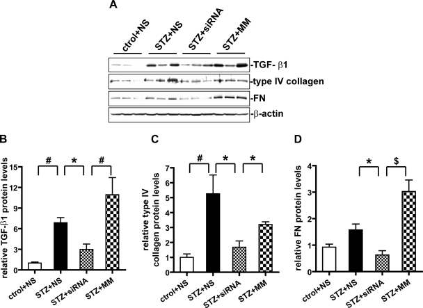 Fig. 8.