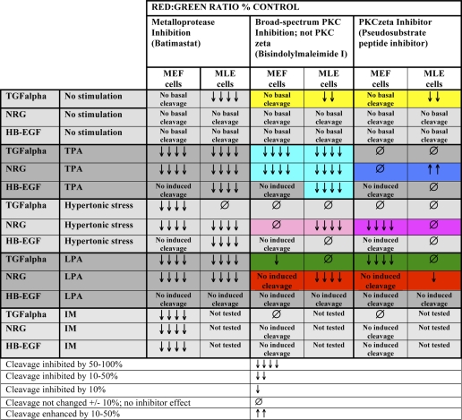 graphic file with name zbc025116275t002.jpg