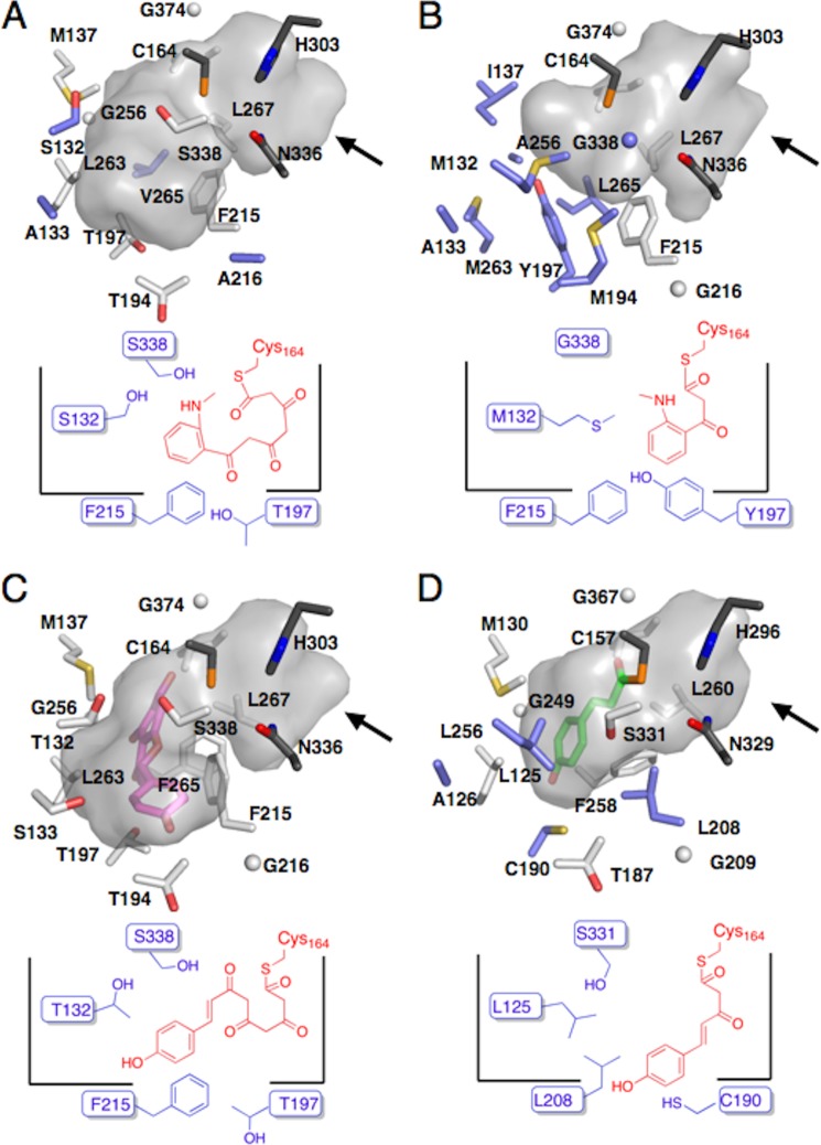 FIGURE 7.