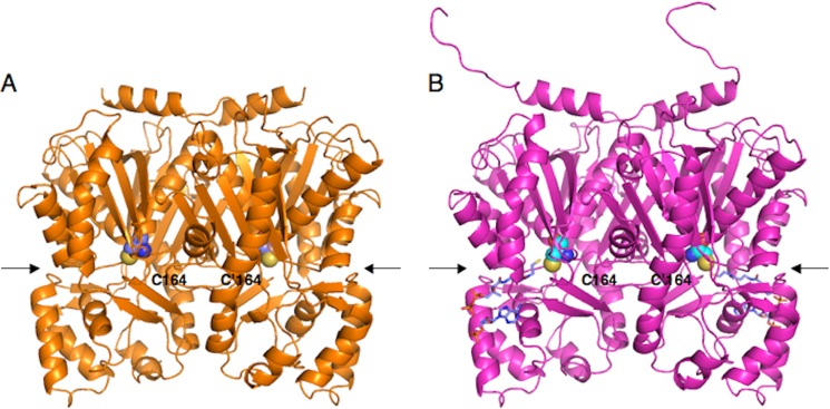 FIGURE 5.