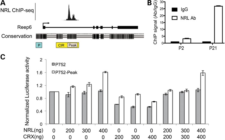 Figure 3.