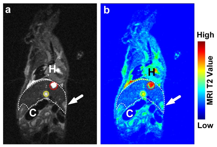 Fig. 8