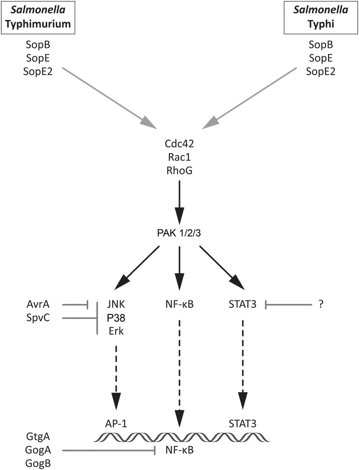 Fig 5