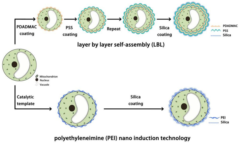 Figure 1.