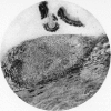 224-2