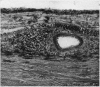 228-2