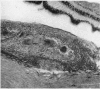 228-2