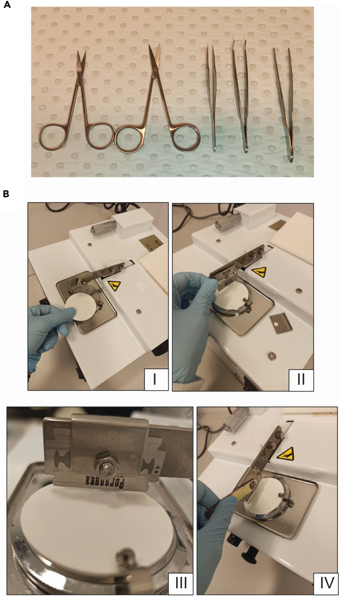 Figure 1