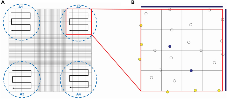 Figure 5