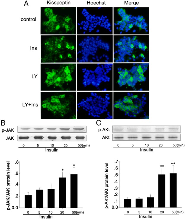 Figure 10.