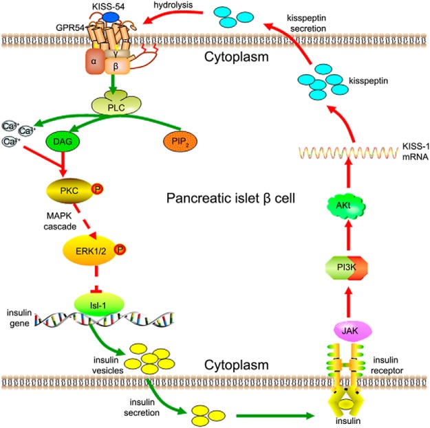 Figure 11.