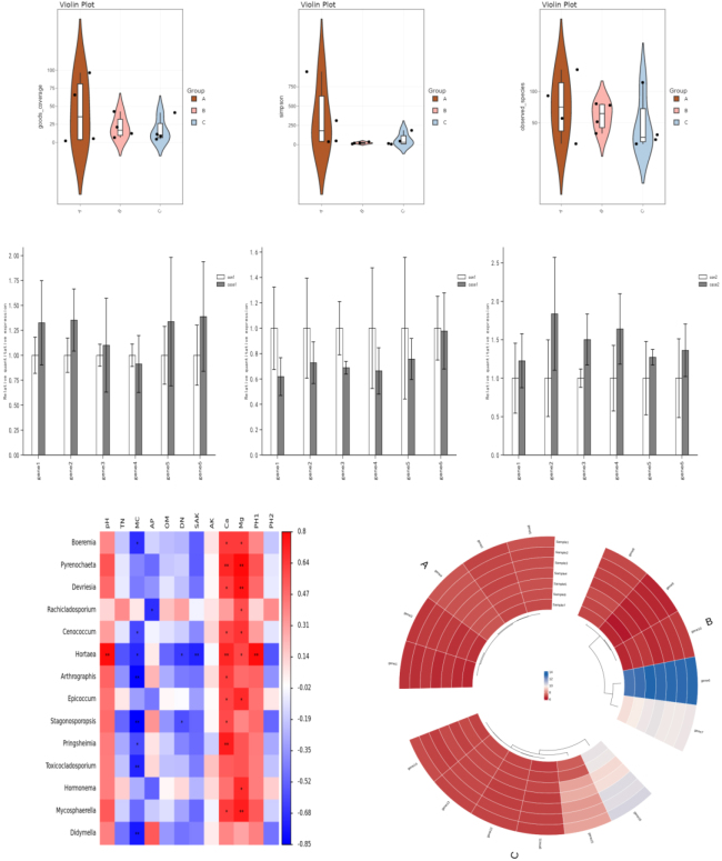 Figure 5.