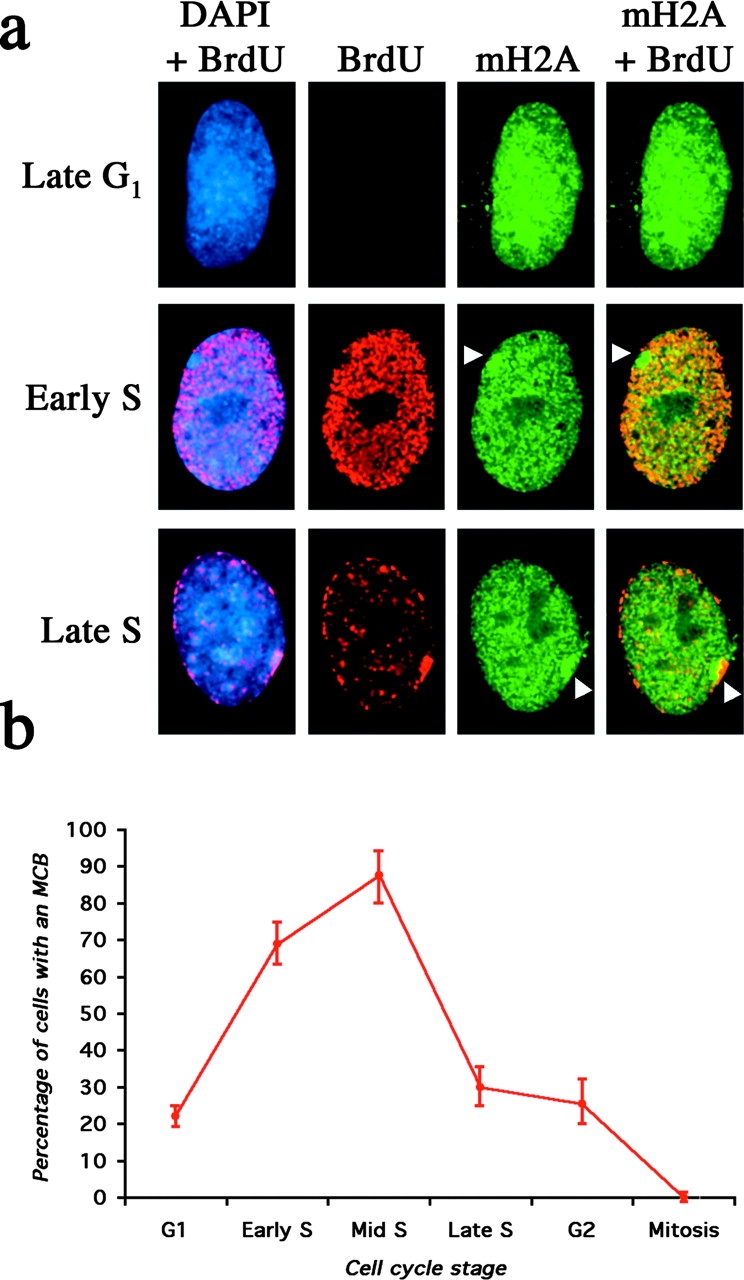 Figure 6.