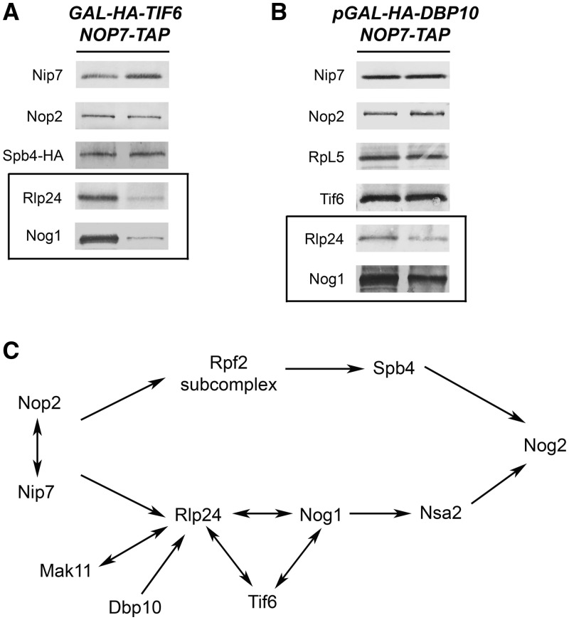 Figure 7.