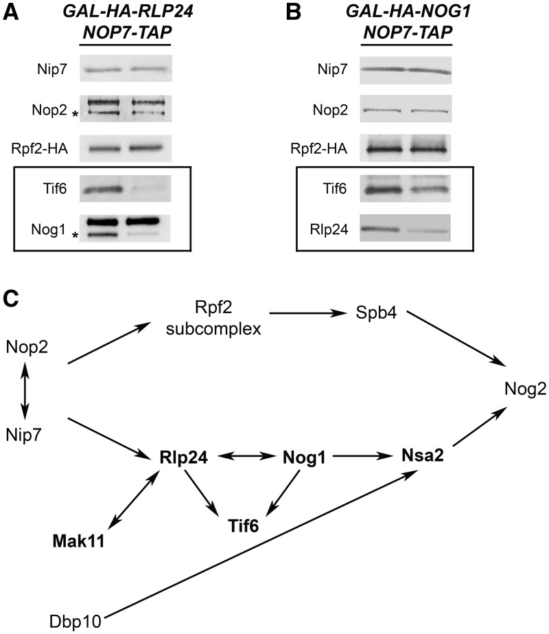 Figure 6.