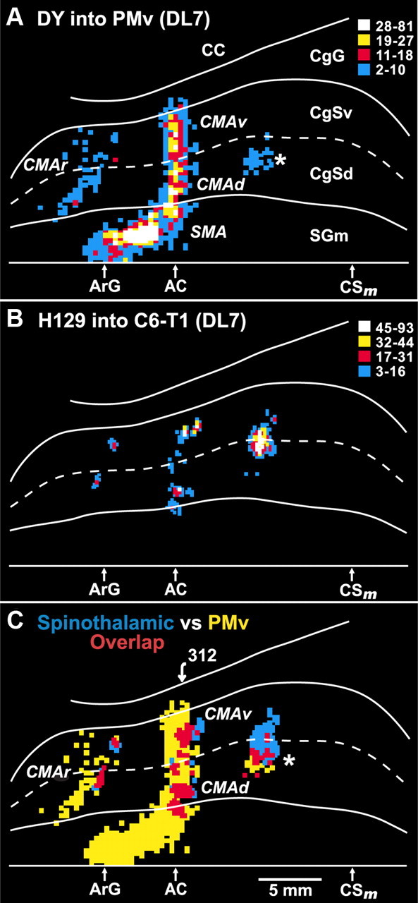 Figure 9.