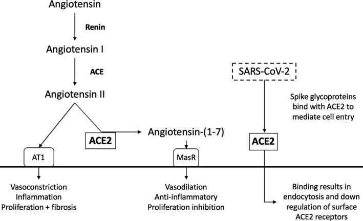 FIGURE 1