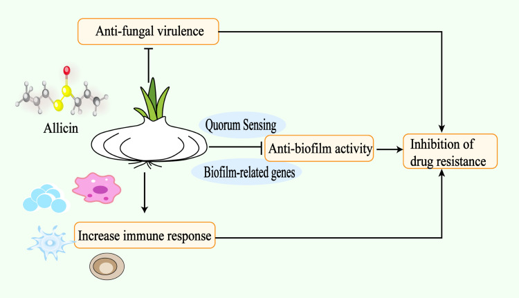 graphic file with name DDDT-18-6413-g0001.jpg
