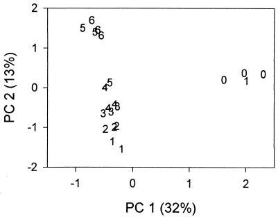 FIG. 5