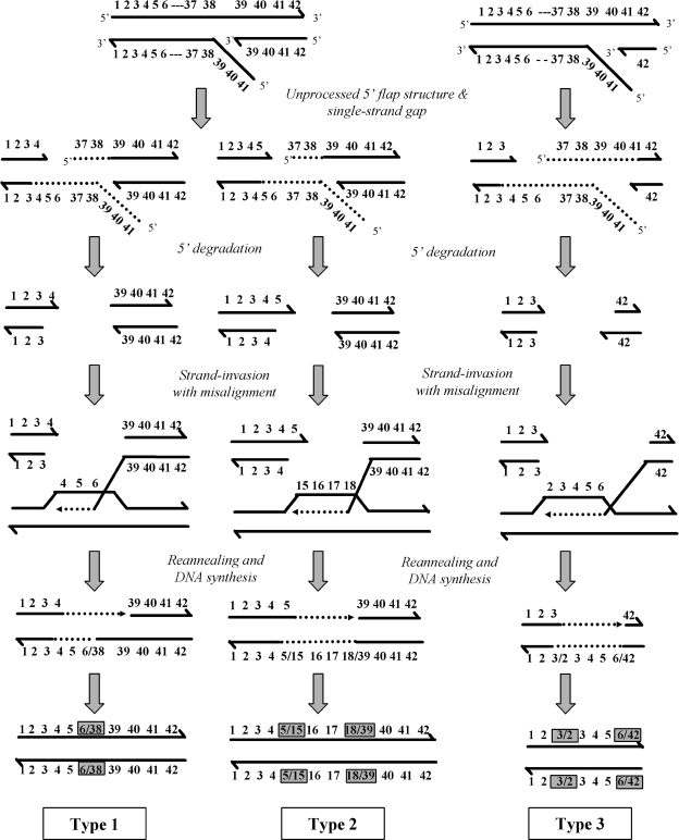 FIG. 6.