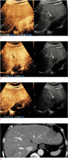Fig. 3.