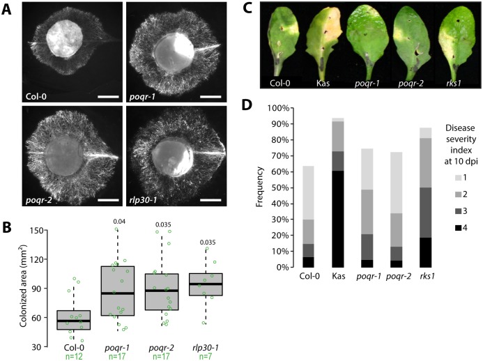 Fig 2