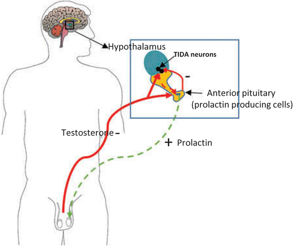 Figure 10.