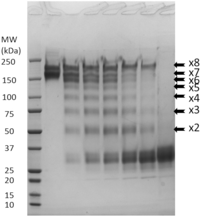 FIG 6