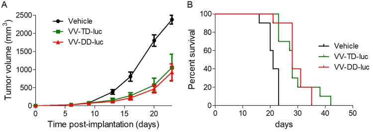 FIG 13