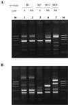 FIG. 1