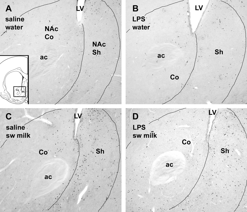 Fig. 5