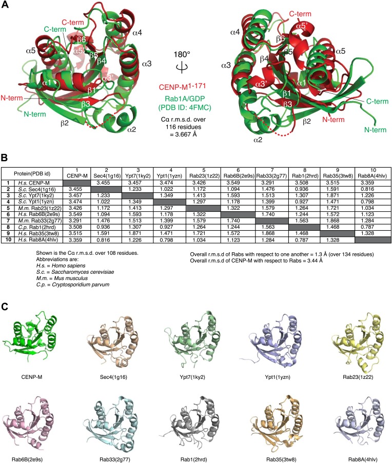 Figure 3—figure supplement 2.