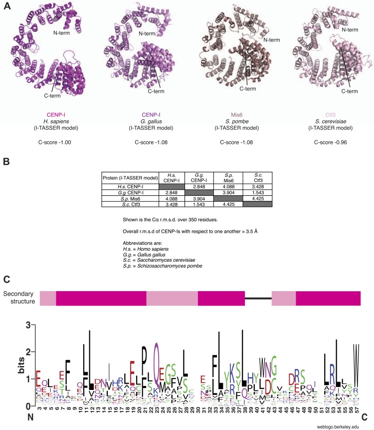 Figure 4—figure supplement 1.